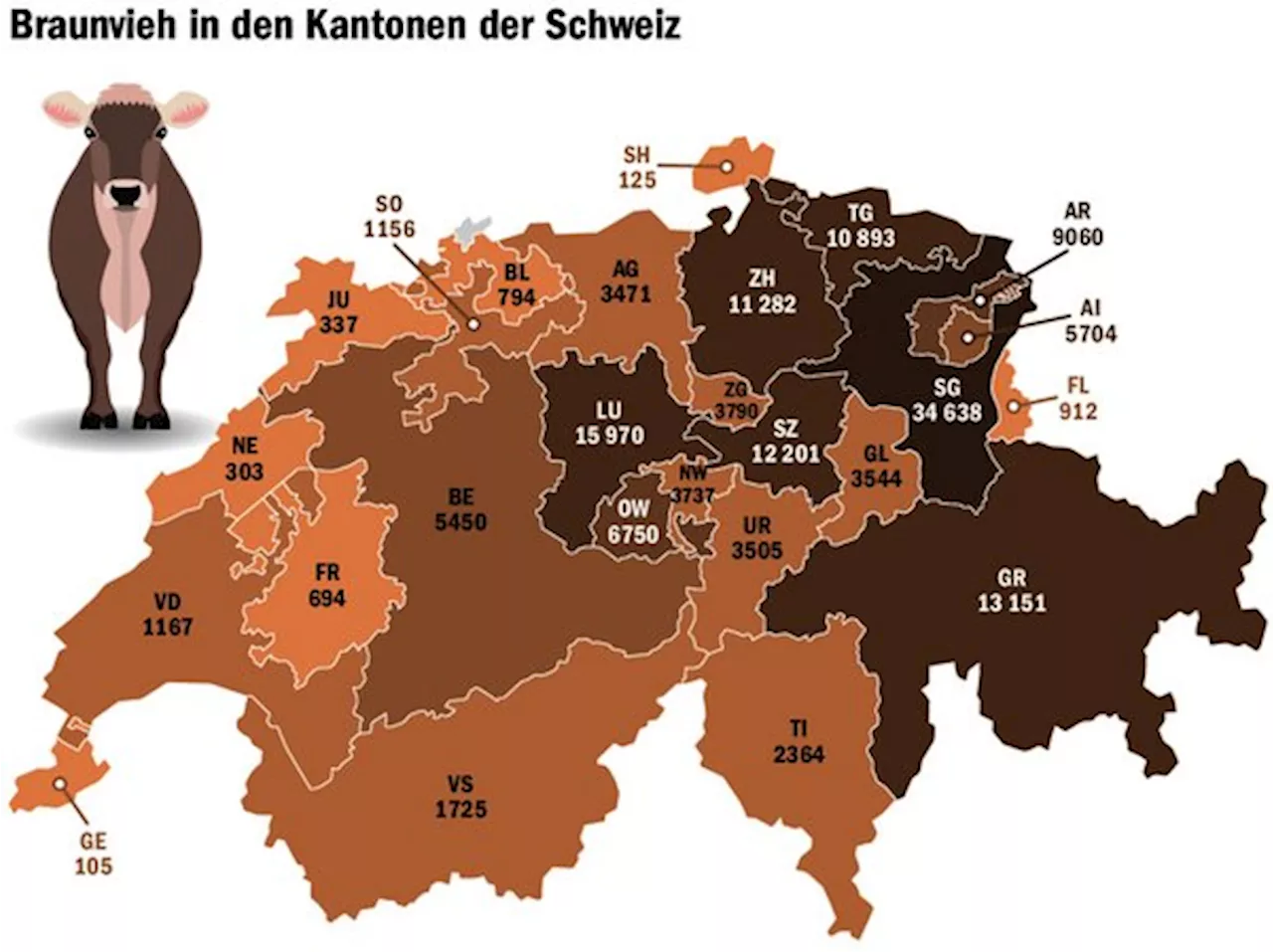 Muss sich die Schweiz um die Braune Kuh Sorgen machen?