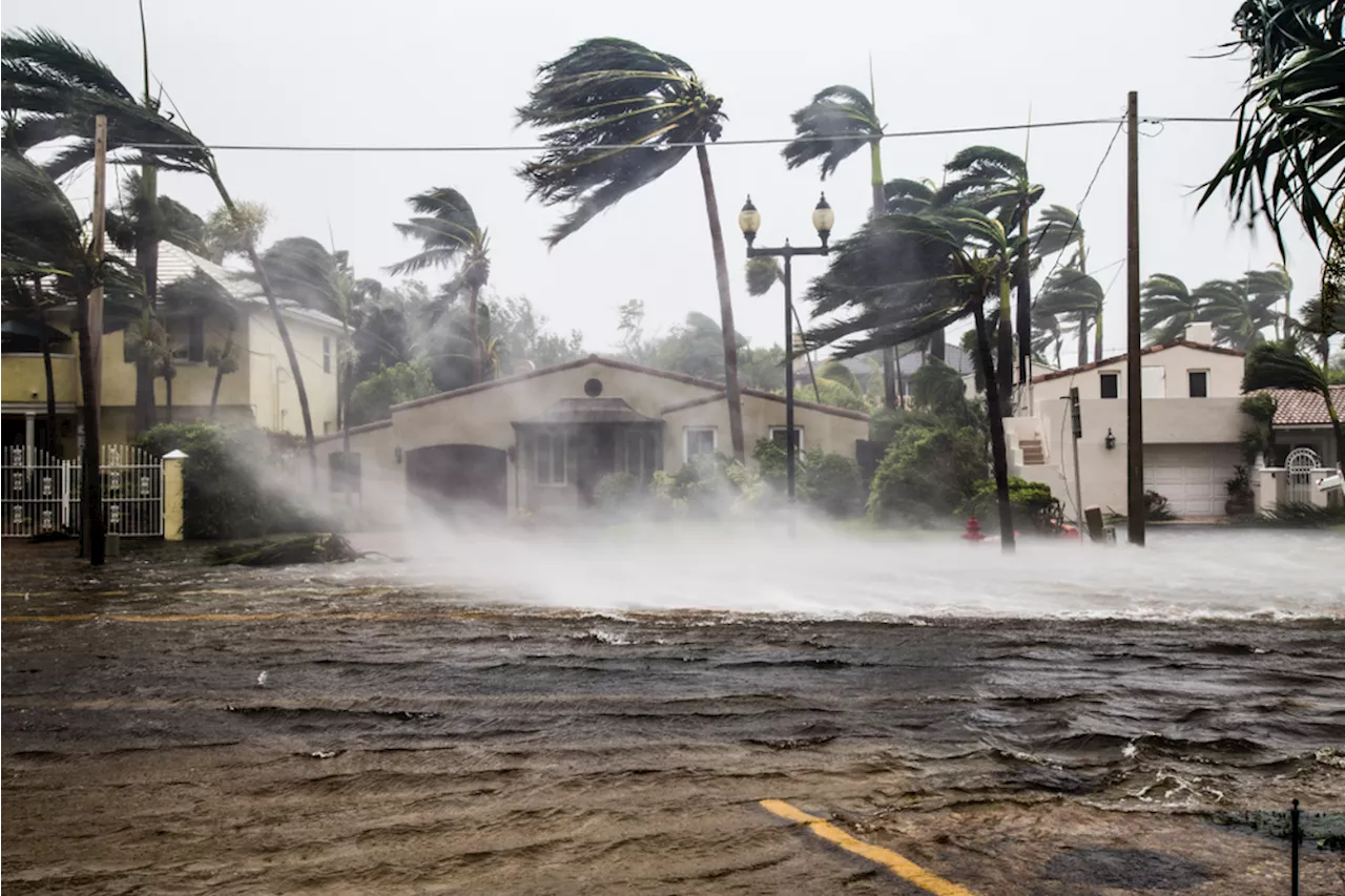 Meteorologists Say 2024 Will 'Amplify Hurricane Activity'—Here's Where