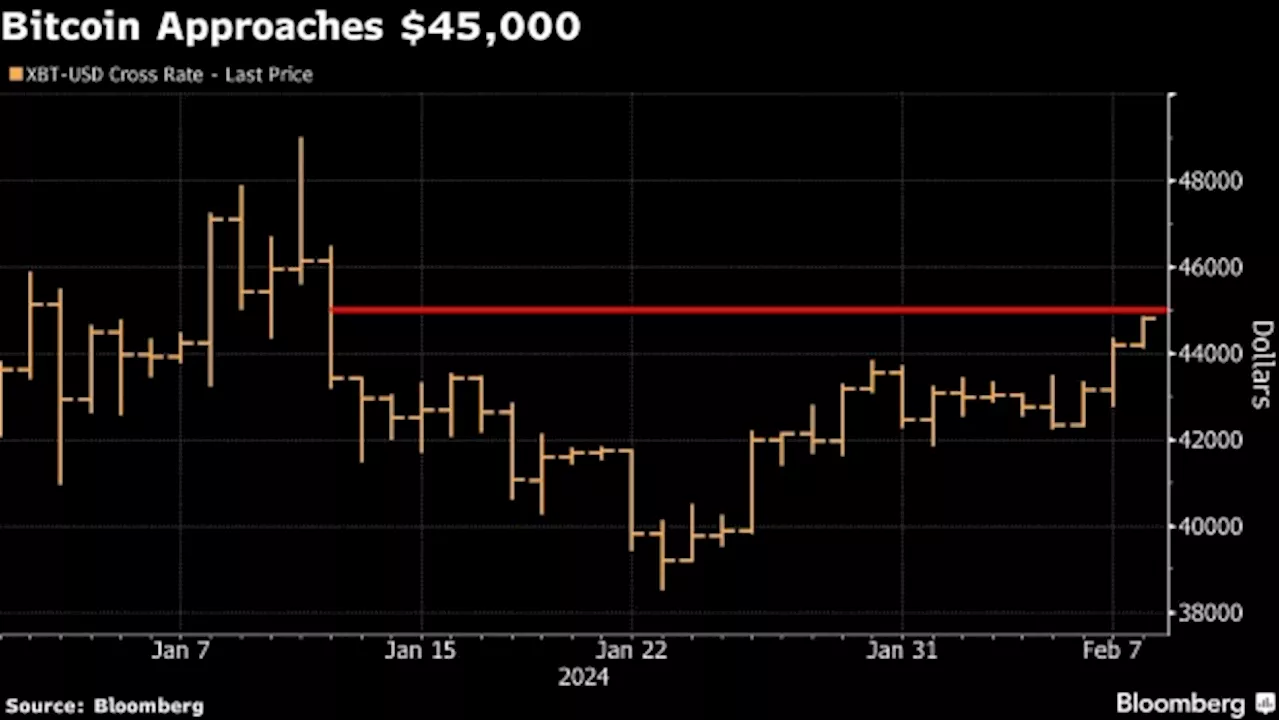 Bitcoin Approaches $45,000 With US Spot ETFs Showing Steady Inflows