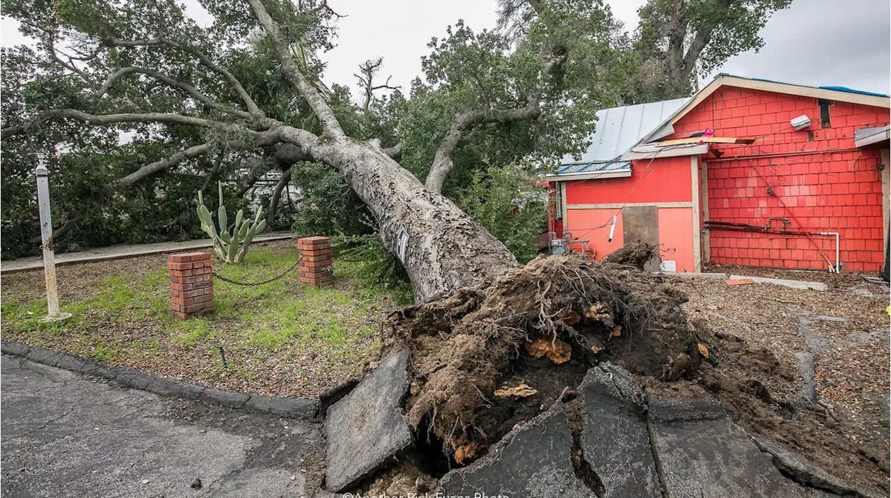 Suspected tornado wreaks havoc in Grover Beach, photos