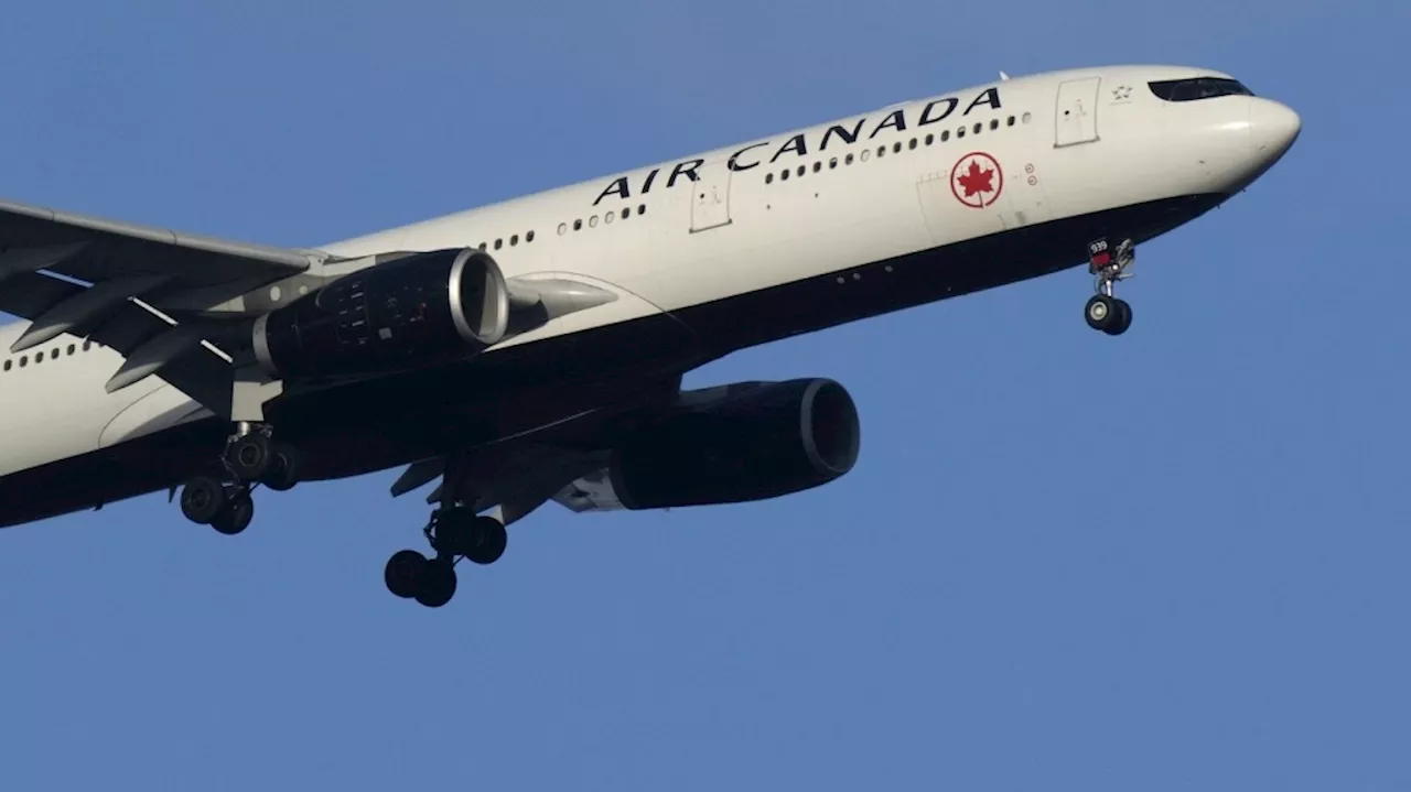 Air Canada flight comes back to Toronto after nearly 7 hours in the air, several landing attempts