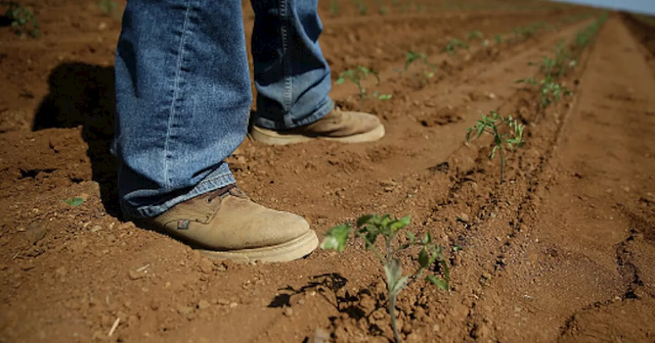 Lawmakers propose bills to improve mental health care for Colorado agriculture workers