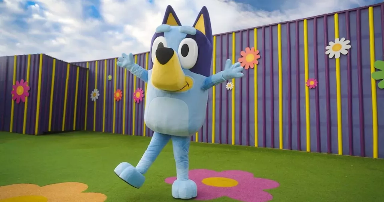 Bluey arriving at CBeebies Land in Alton Towers Resort