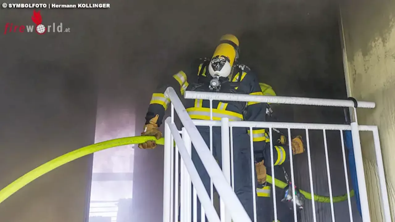 D: Zwei tote Katzen bei Wohnungsbrand im 10. Obergeschoß in Pinneberg