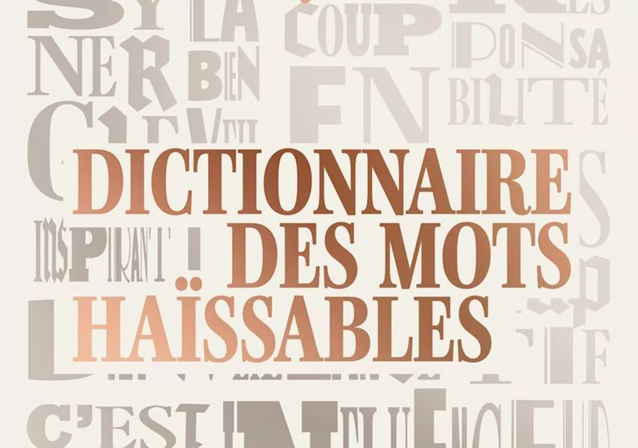 'Dictionnaire des mots haïssables' de Samuel Piquet : un livre pour rire de l'époque