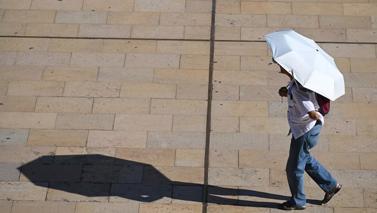 La chaleur a tué plus de 5 000 personnes en France de juin à septembre 2023, quatrième été le plus chaud du 20