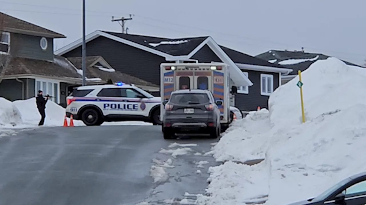 Police asking residents to shelter in place as RNC responds to incident on Duntara Crescent in St. John’s