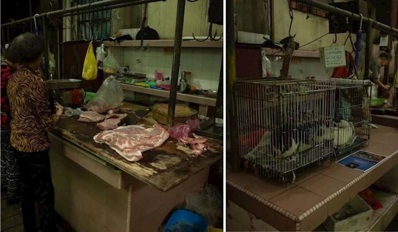 Debates and Allegations Arise Over Cat Meat Being Sold in Petaling Street