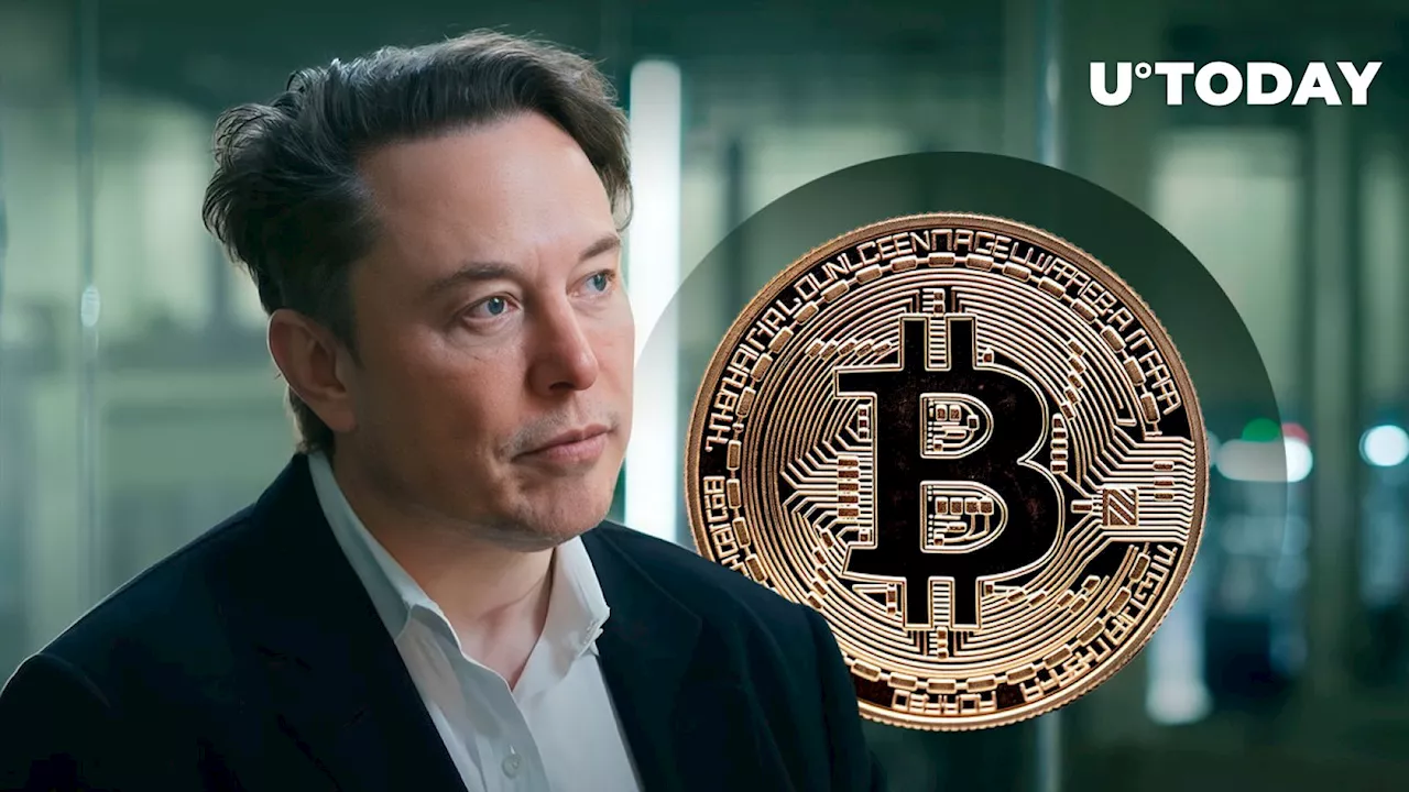 Bitcoin and Elon Musk Have This Stunning Thing In Common: VanEck's Top Exec