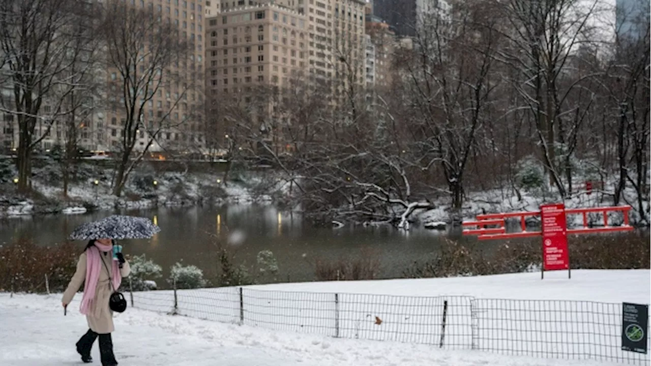 Snow Storms Threaten US Northeast in February After Spring-like Warmth