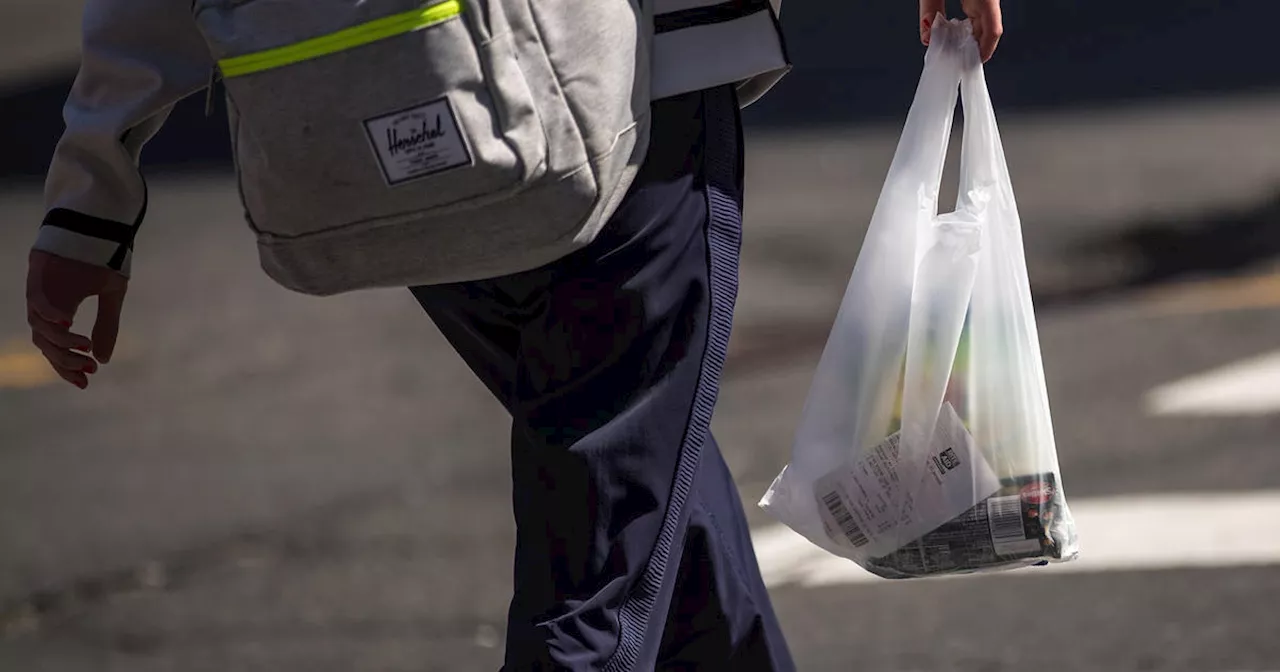 New California bill would ban all plastic shopping bags at grocery stores