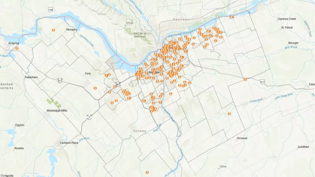 221 vehicles reported stolen in Ottawa so far in 2024: Here's the hot spots for vehicle thefts