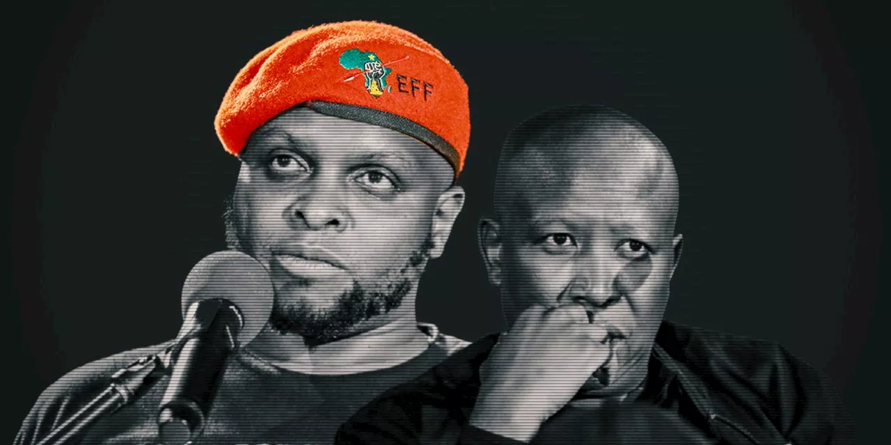 EFF MPs fail in court bid to overturn suspension