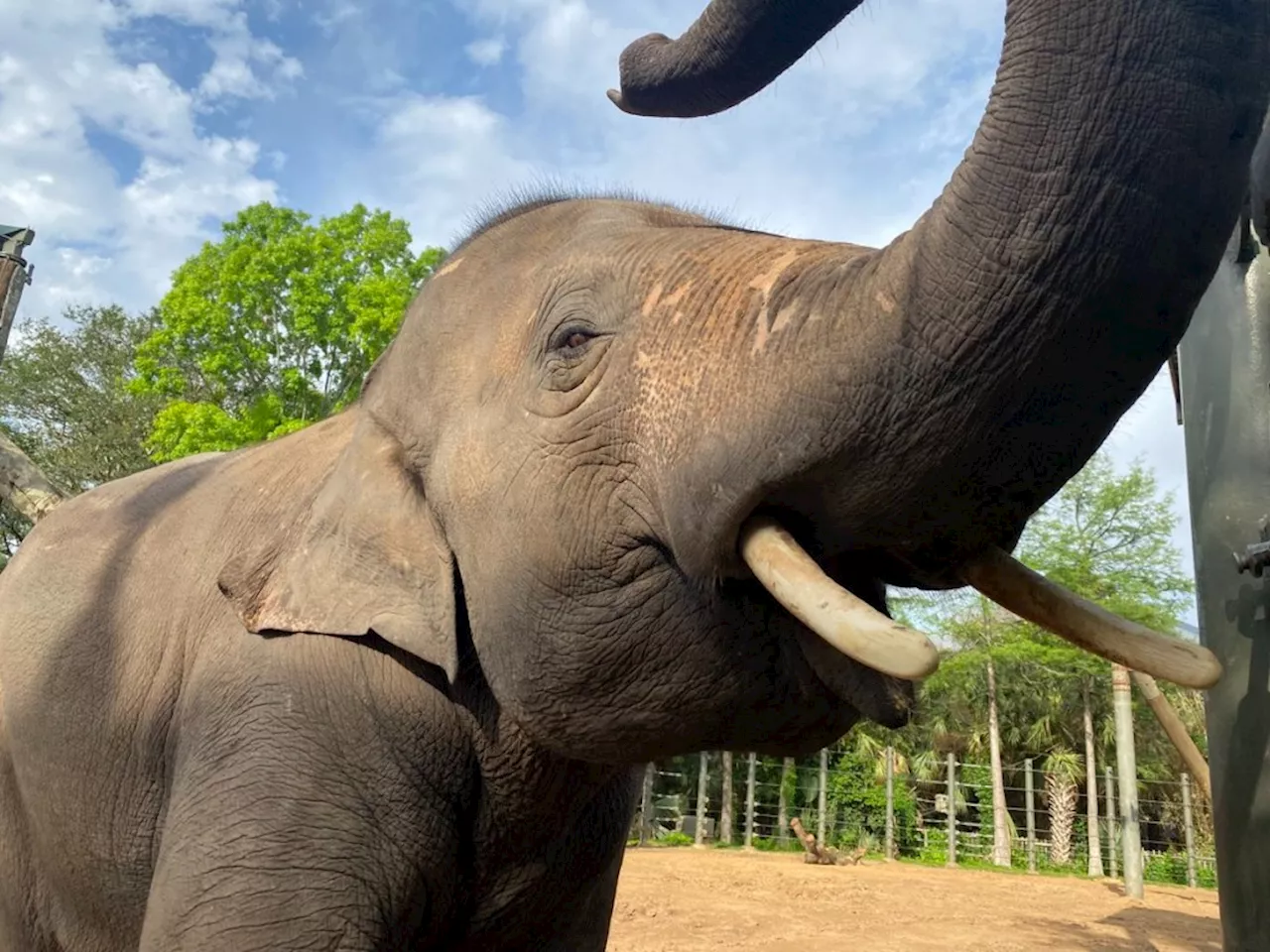 Denver Zoo to open 570-acre conservation preserve in Weld County