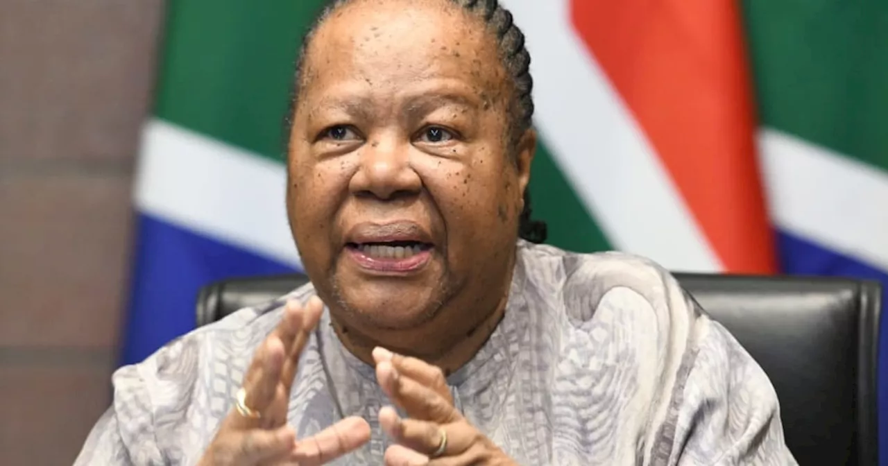 Pandor shocked by Germany's legal action against SA commentator over Gaza stance