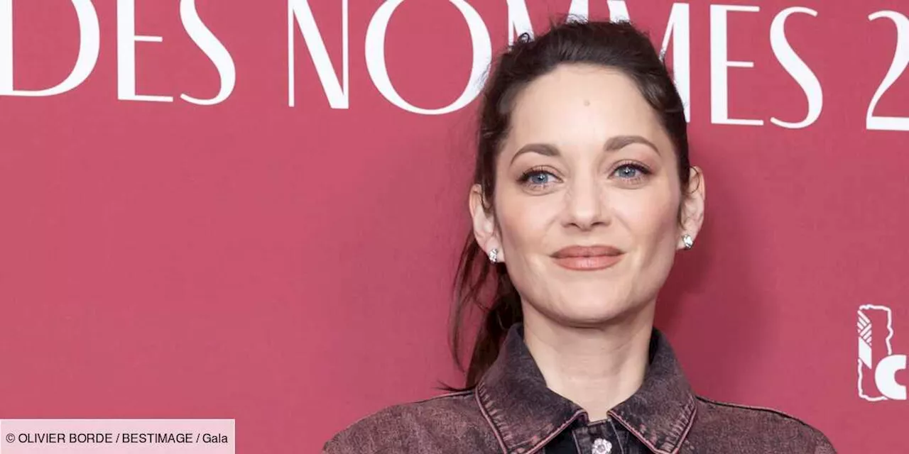 – Marion Cotillard, Raphaël Quenard… Comment les nommés aux César définissent le cinéma en un mot