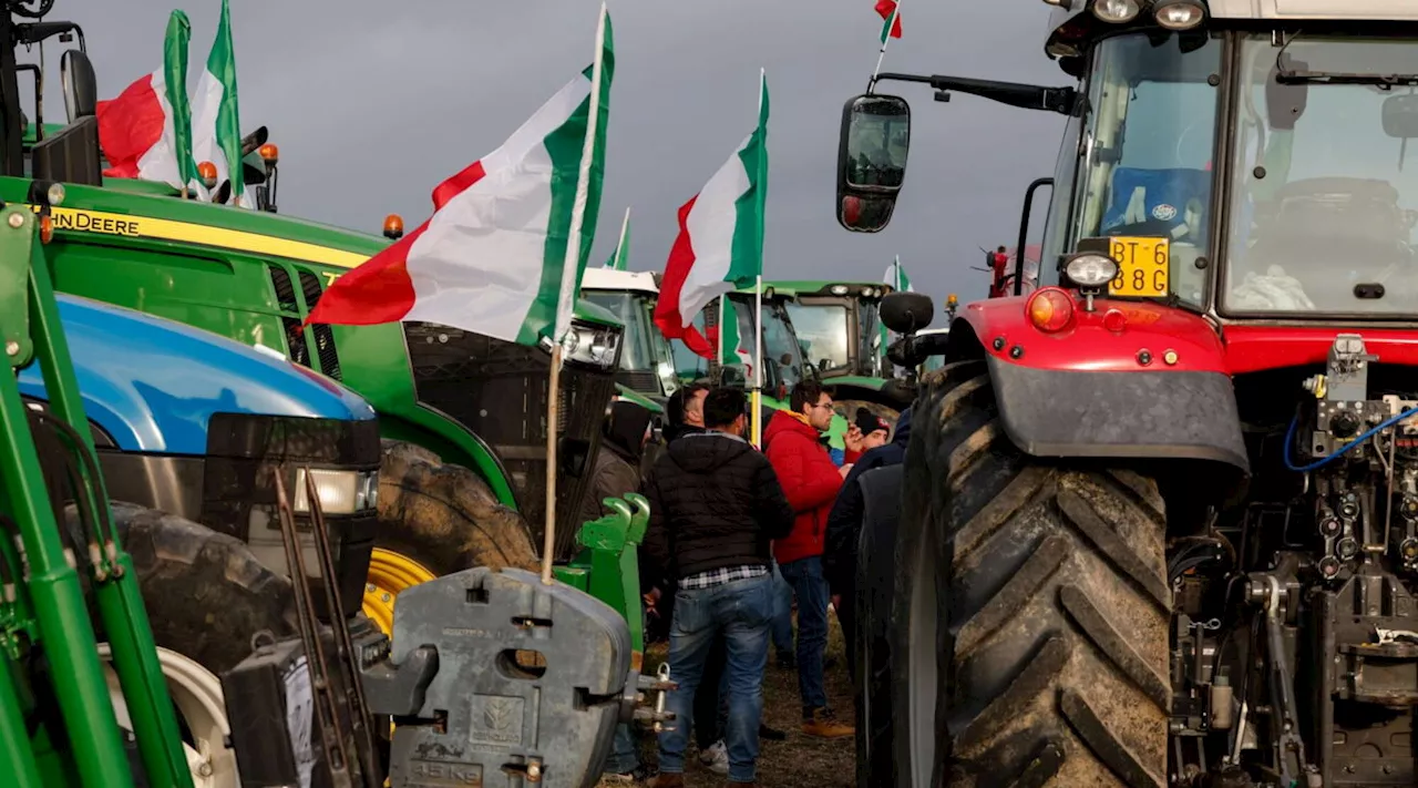 Protesta dei trattori, le organizzazioni agricole a Palazzo Chigi | A Roma sfilata in centro e corteo sul Raccordo Anulare