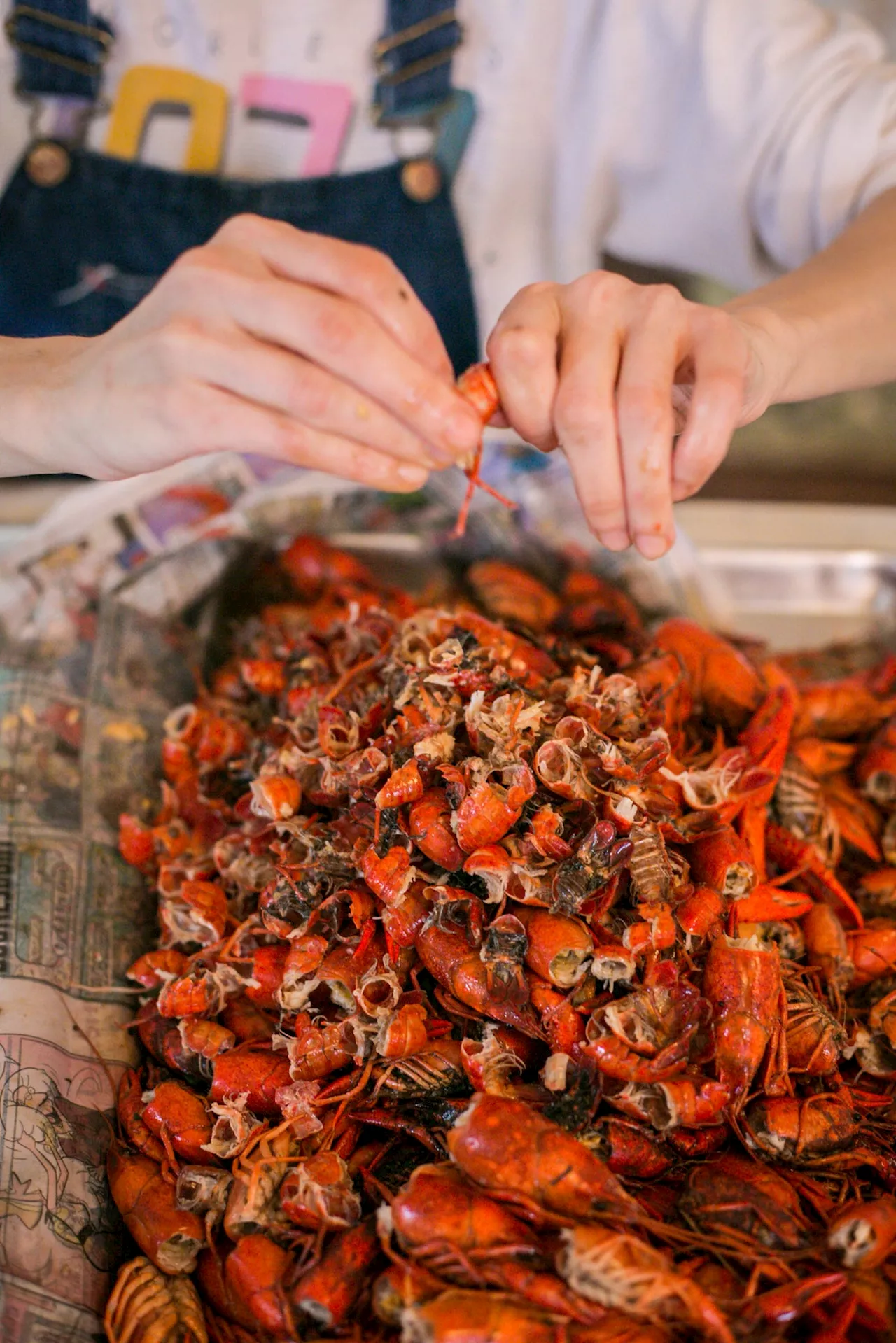 The 12 Restaurants in New Orleans Everyone Should Visit