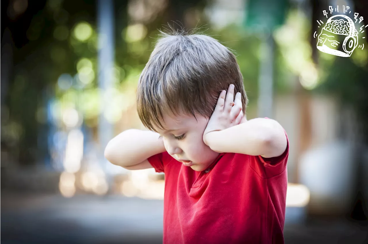 Når sanserne spiller hjernen et puds: Forskere har fået et nyt syn på den autistiske hjerne