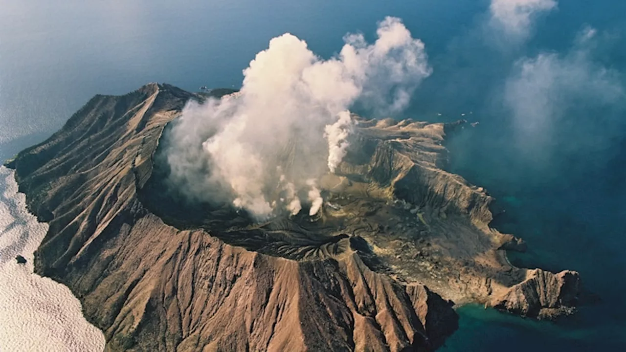 Judge orders $9.56 million in reparation for Whakaari White Island disaster