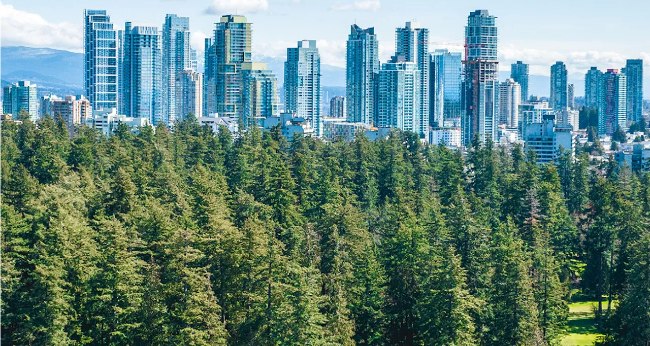 Burnaby Prepares Strategy for Future Management of City's Trees