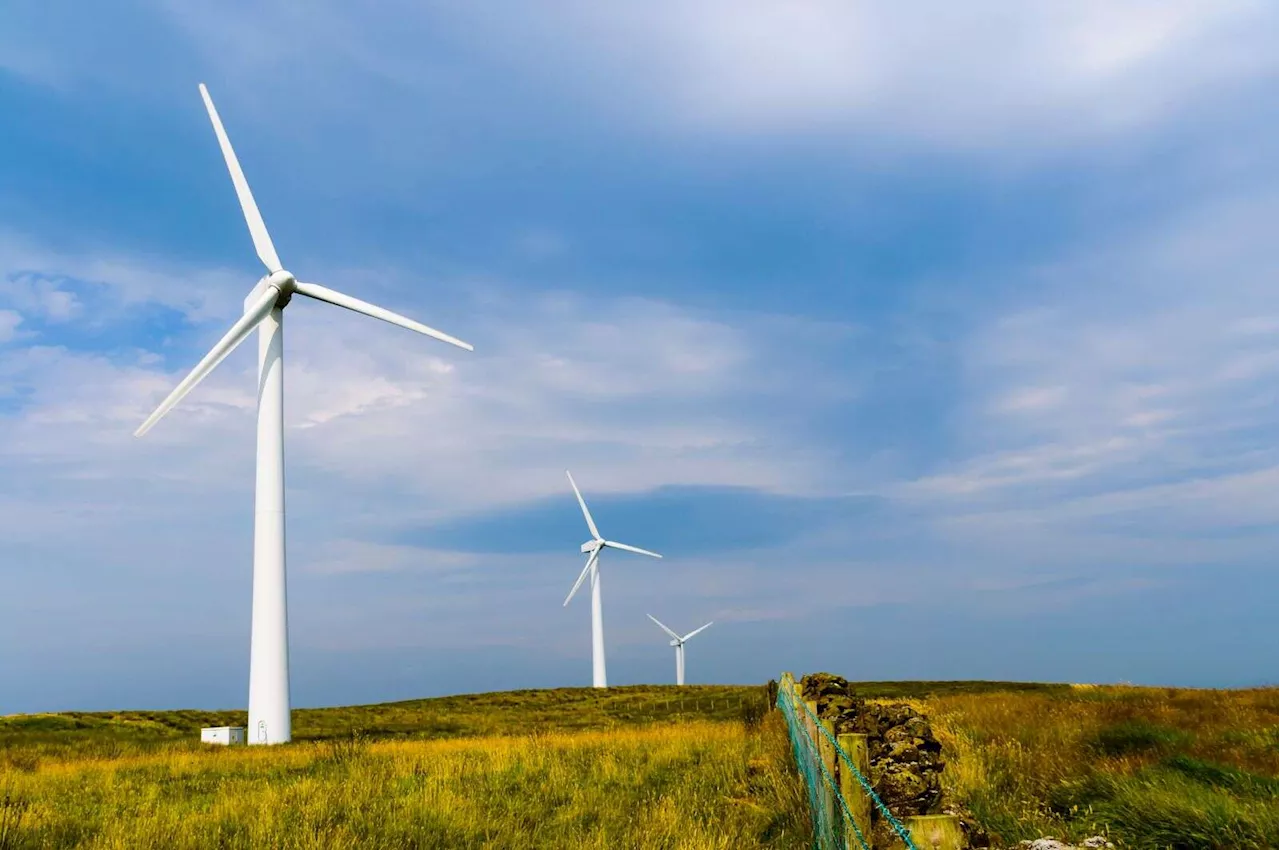 Stratkraft’s Laois mega-wind farm becomes fifth project hit with judicial review this year