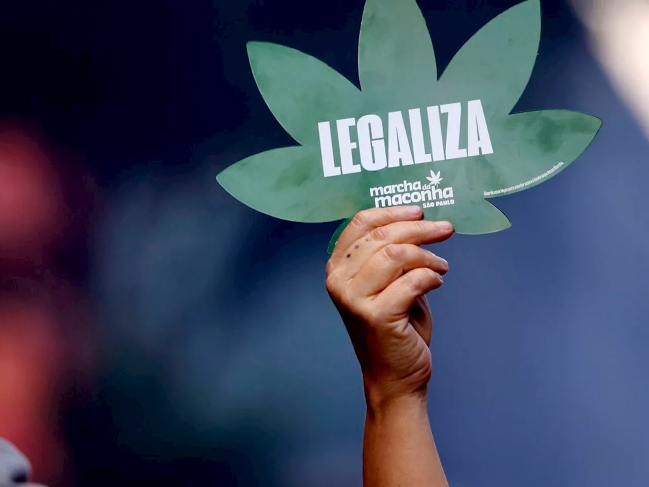 PSOL recorre à Justiça para garantir Marcha da Maconha em Blumenau