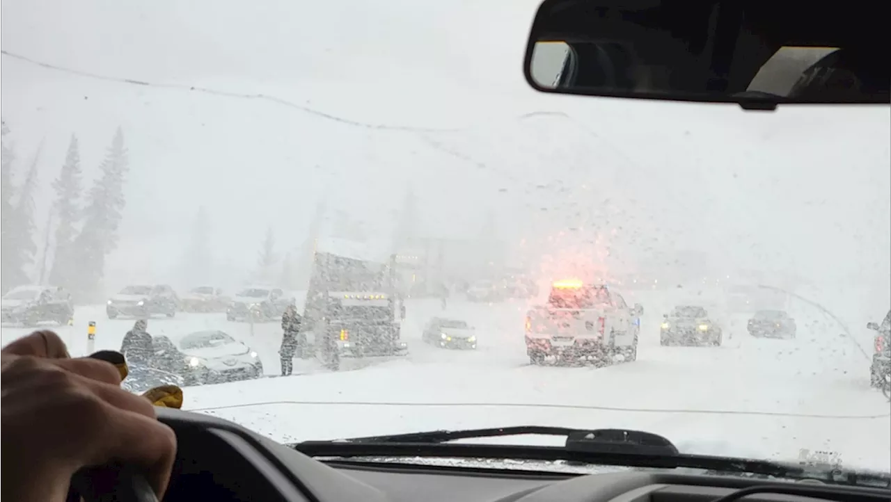 Collision involving 'up to 20 vehicles' on Trans Canada west of Calgary brings traffic to standstill