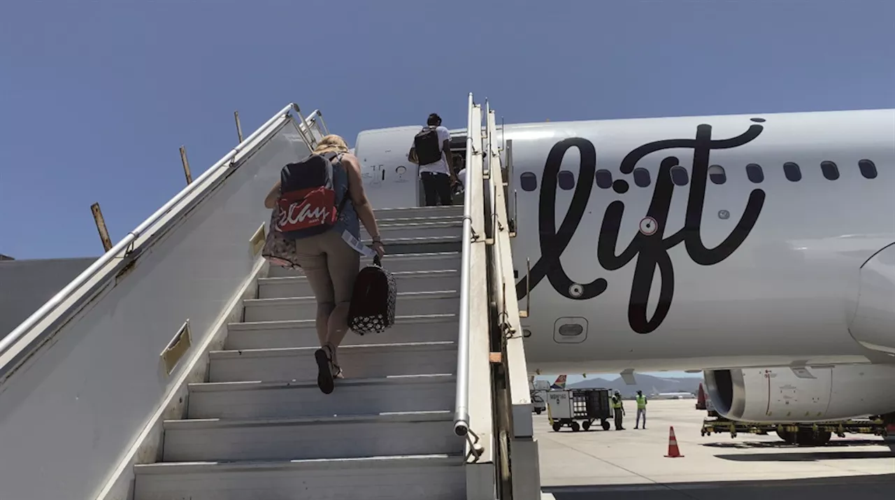 South African Airline Lift Allows Dogs in Cabin for the First Time