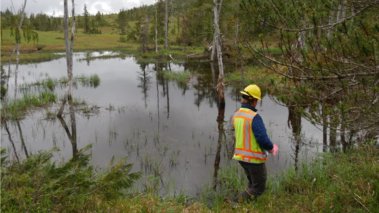 Forest Service boasts dozens of new staff positions in the Tongass