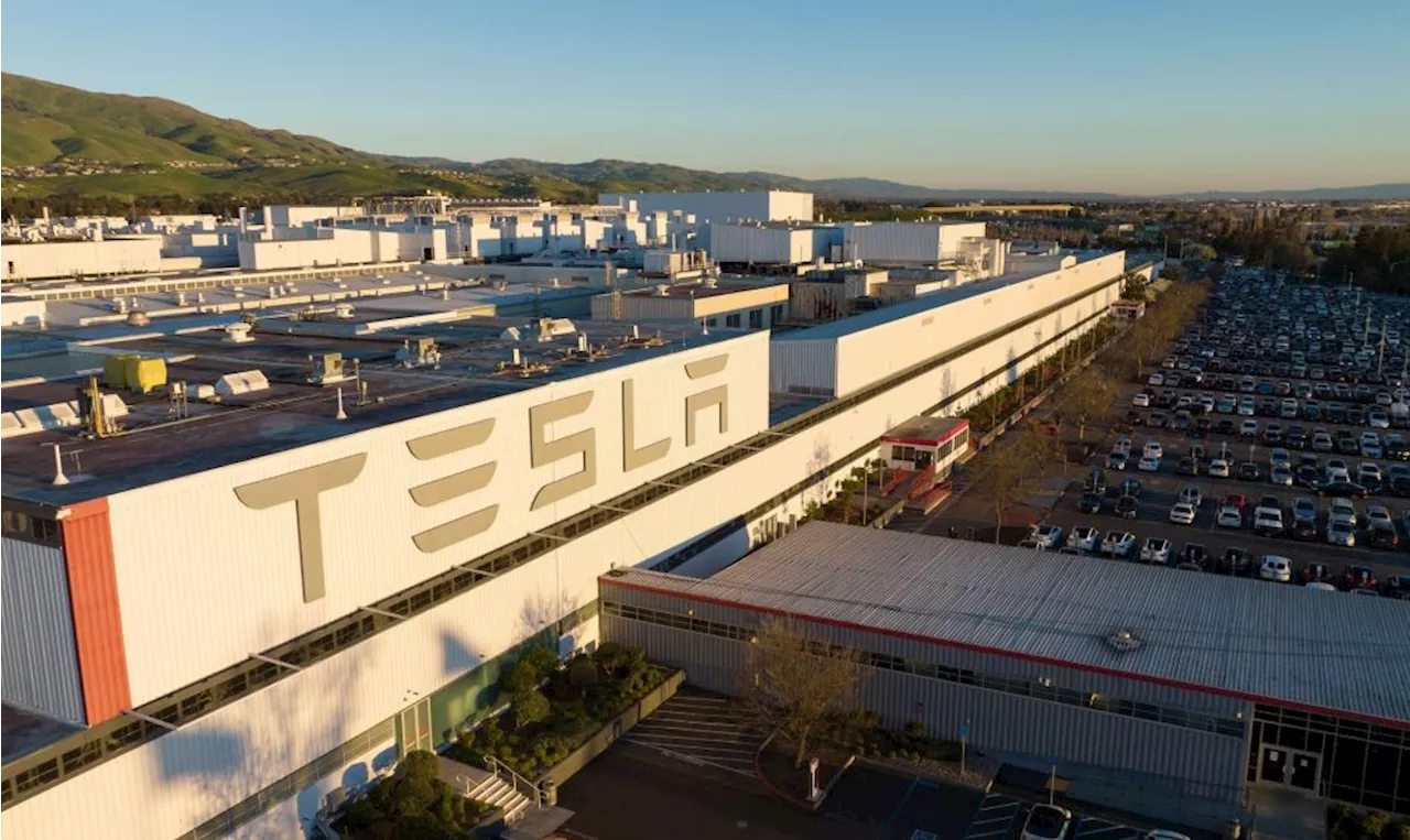 Tesla faces 5,977 Black workers in Fremont factory racism lawsuit