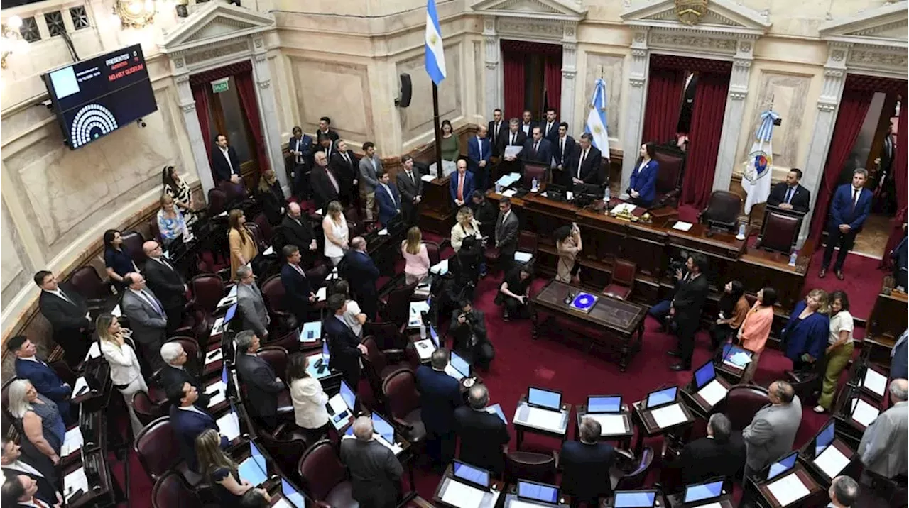 Mega DNU en la mira: UxP apuesta a una onda expansiva en el Senado y los dialoguistas buscan limitar el mecanismo