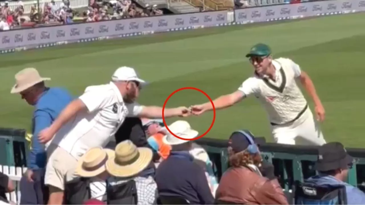 Josh Hazlewood agrees to rogue New Zealand fan’s hilarious sandpaper request during second Test