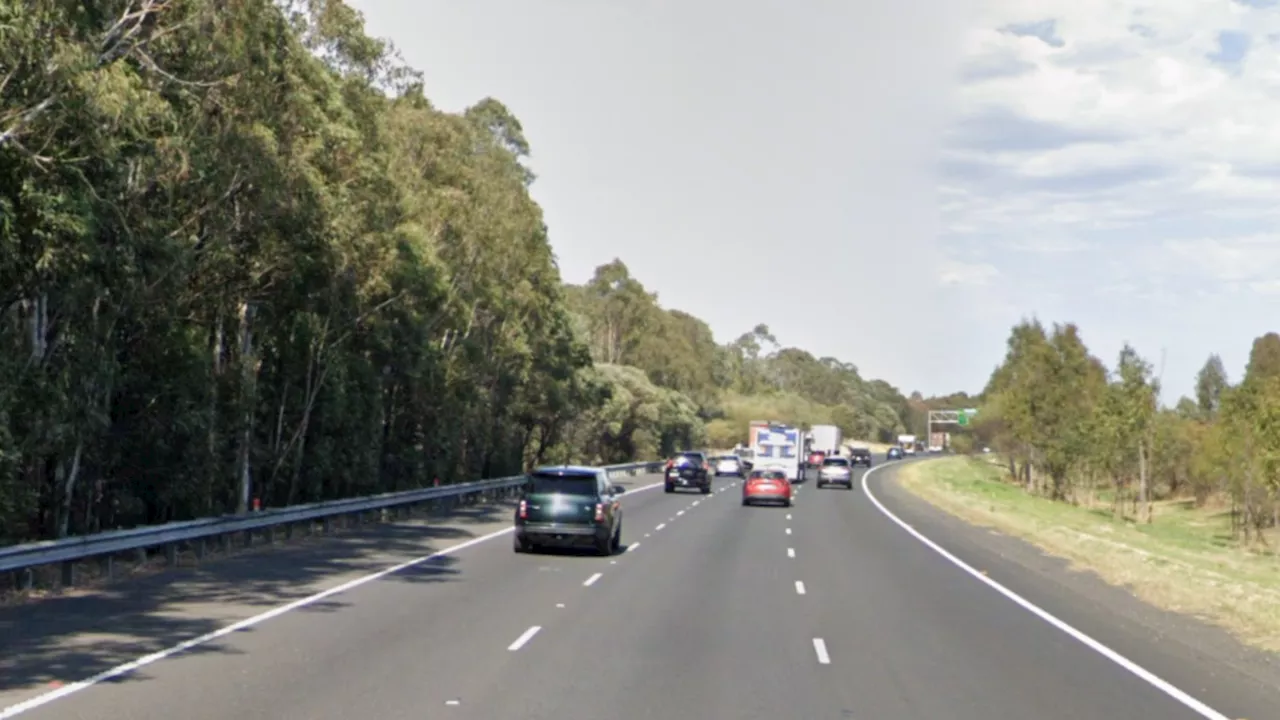 Pedestrian hit by vehicle dies on Hume Motorway at Woodbine, NSW