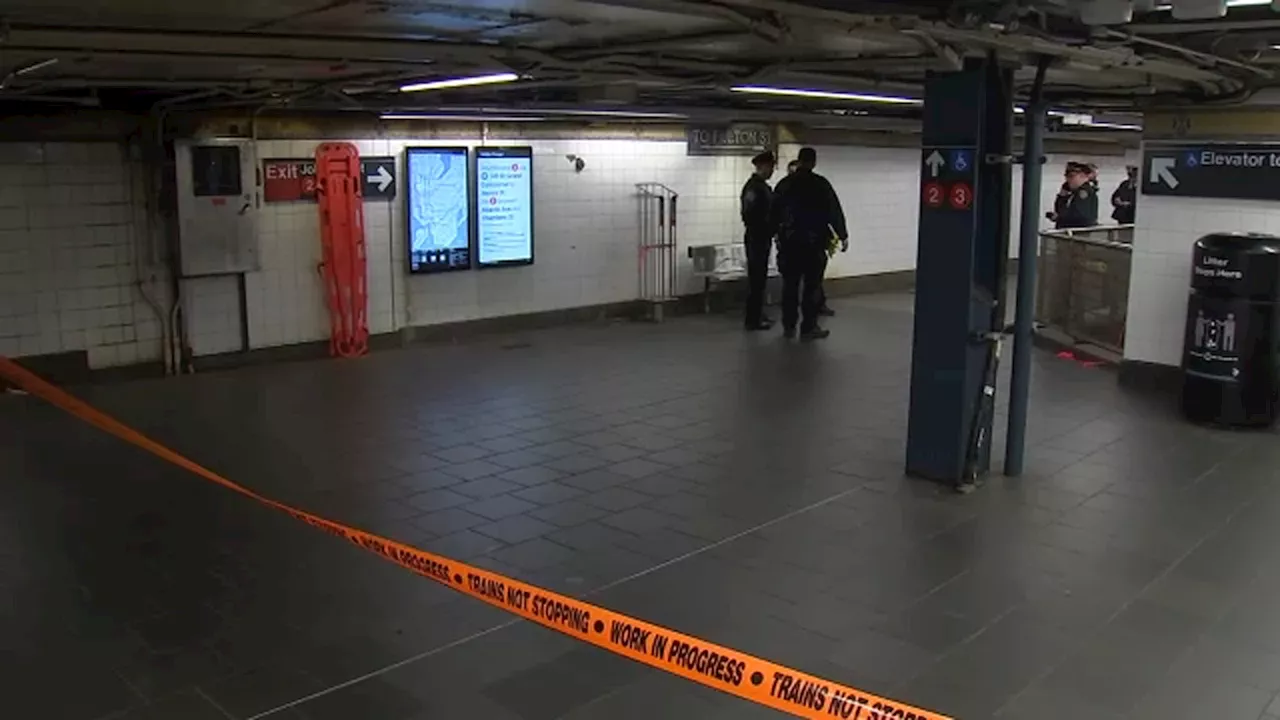 Police make arrest after woman was pushed onto subway tracks by boyfriend in Manhattan