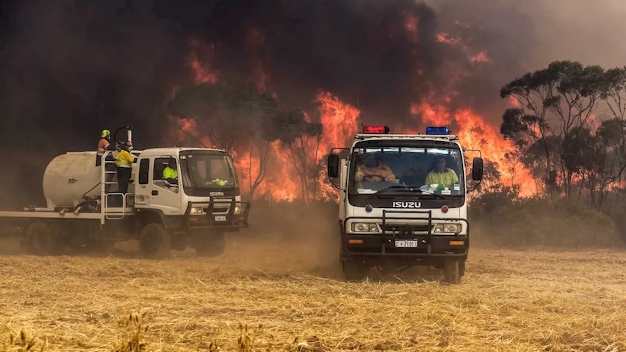 Councils fear CEOs could be charged with industrial manslaughter over volunteer firefighter deaths