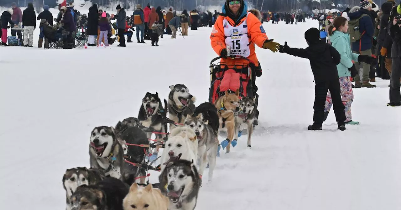 Iditarod sees first dog death of 2024 race