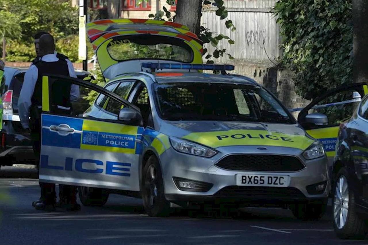 Paura a Buckingham Palace, un'auto contro i cancelli