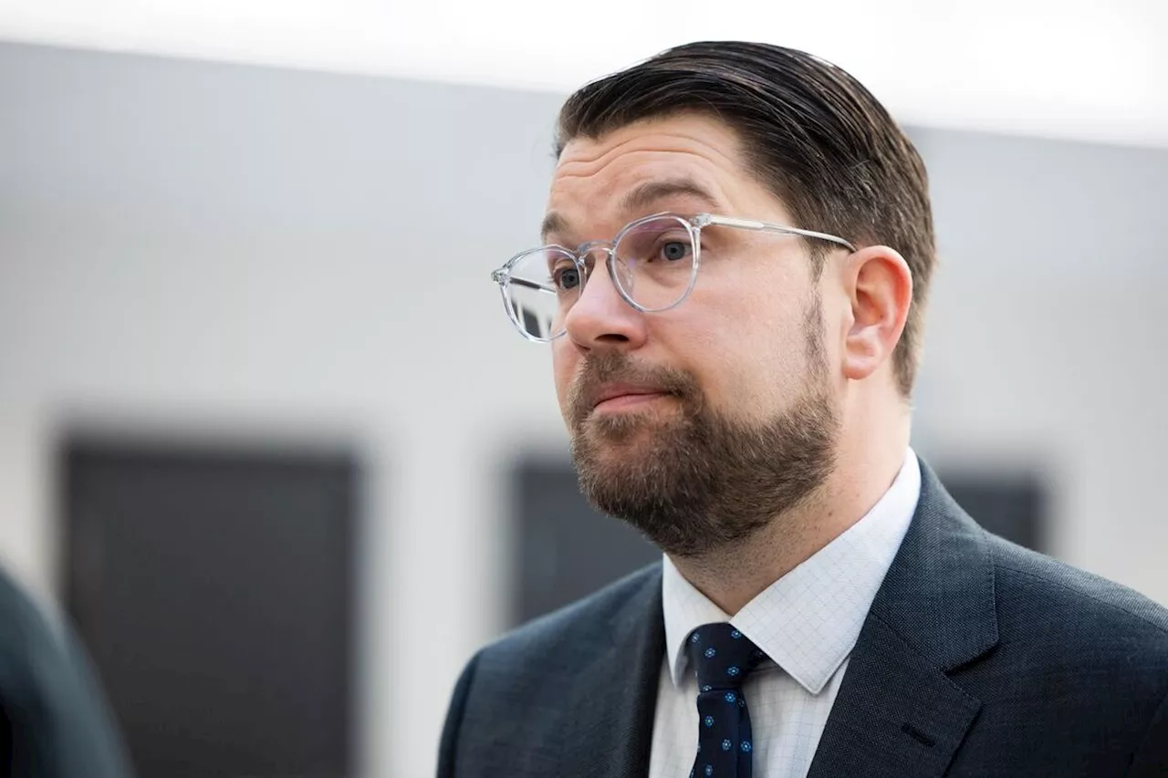 Åkesson: Trump är en frisk fäkt