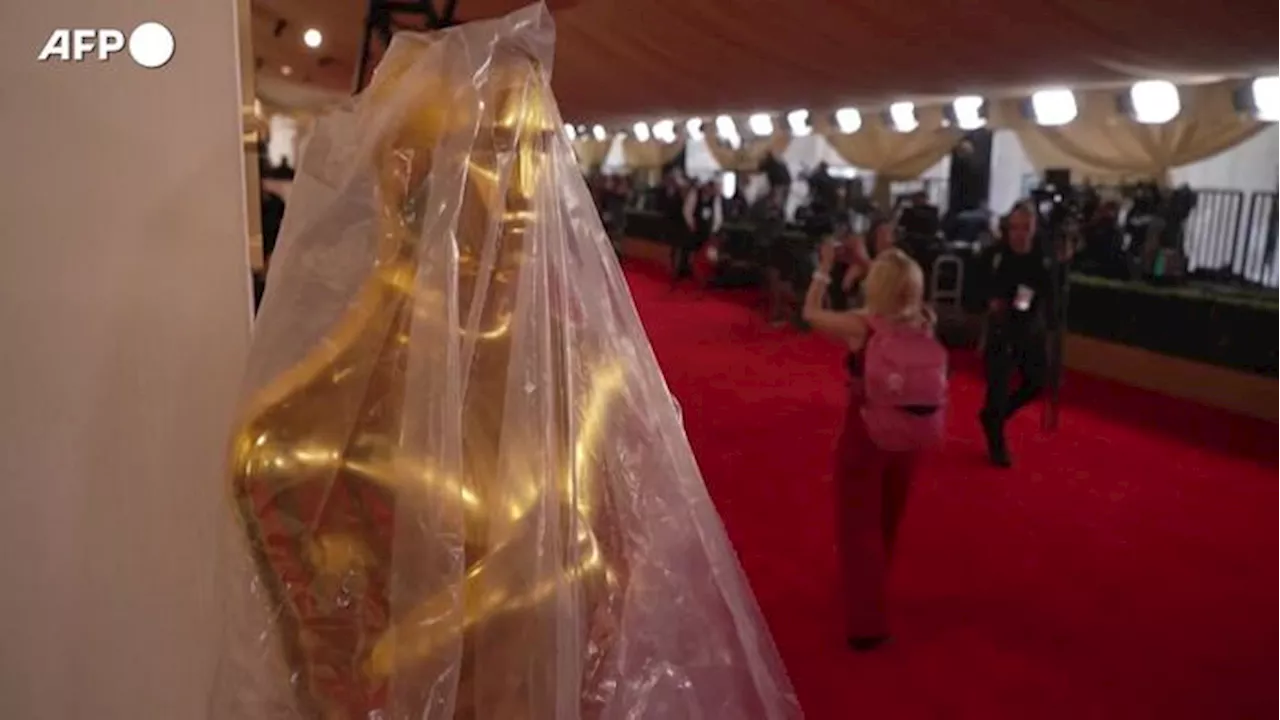 Oscar, ultimi preparativi sul red carpet alla vigilia della cerimonia