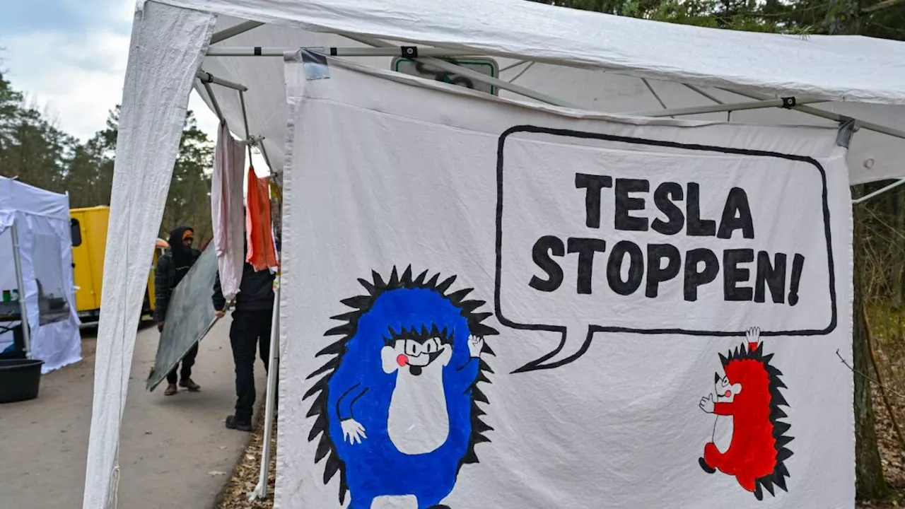 Aktivisten gehen gegen Tesla-Erweiterung auf die Straße