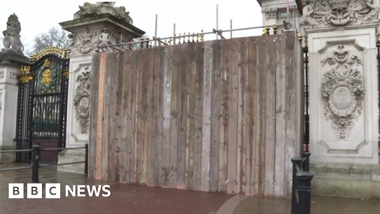 Man bailed after Buckingham Palace gate crash