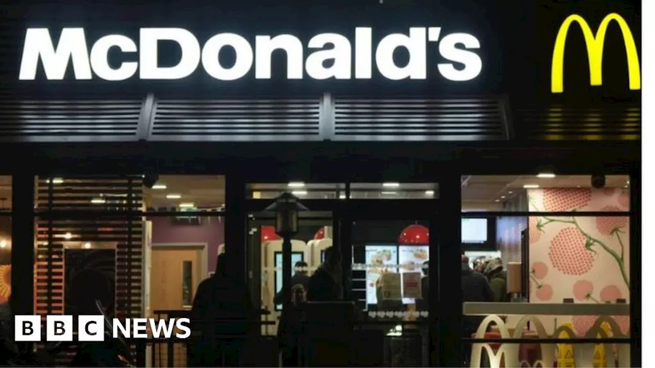 McDonald's shuts after customer brings snake and insects in