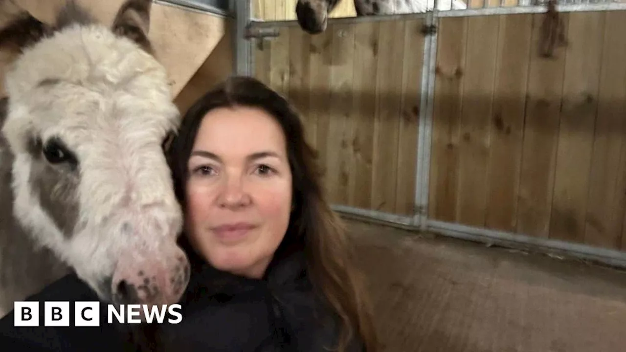 South Downs: Equine therapy centre opens near Brighton