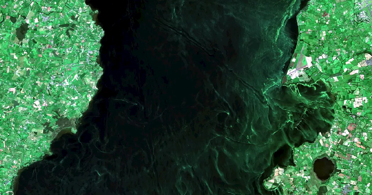 Space Agency giving NI funding to monitor harmful algae blooms from above