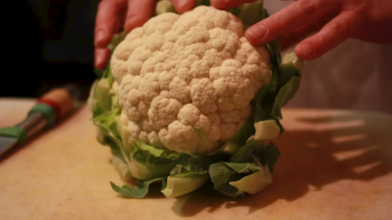 Saint-Omer: la plantation des choux-fleurs prend du retard en raison des récentes inondations