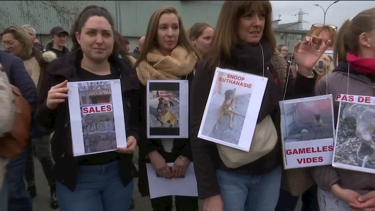 Toulouse: des soupçons de maltraitance sur des animaux au refuge ATPA-SPA, une enquête ouverte