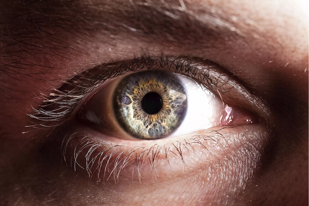 Researchers are developing amazing self-powered eye implants that never need to be charged