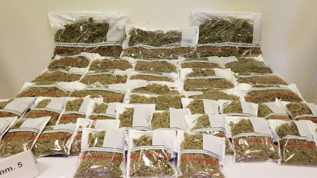 Cannabis: Polizei beschlagnahmt über 100 Kilo Marihuana in Thüringen