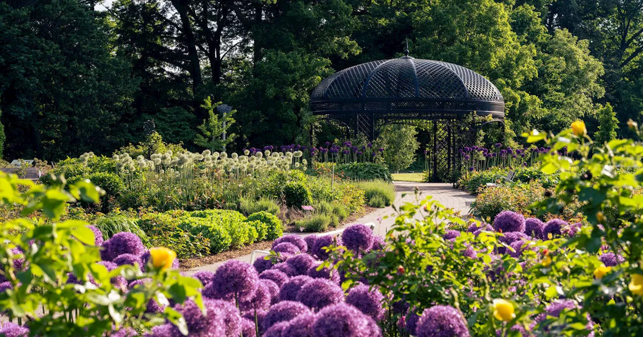 5 fun day trips from Toronto to add to your spring bucket list